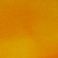 (image for) Trans Irgazin Golden 1oz